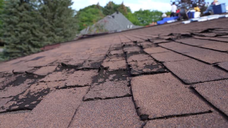 Best Metal Roofing Installation  in Cannelton, IN