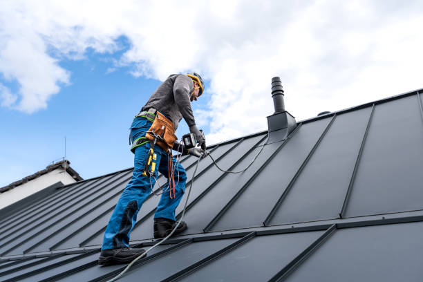 Best Roof Insulation Installation  in Cannelton, IN